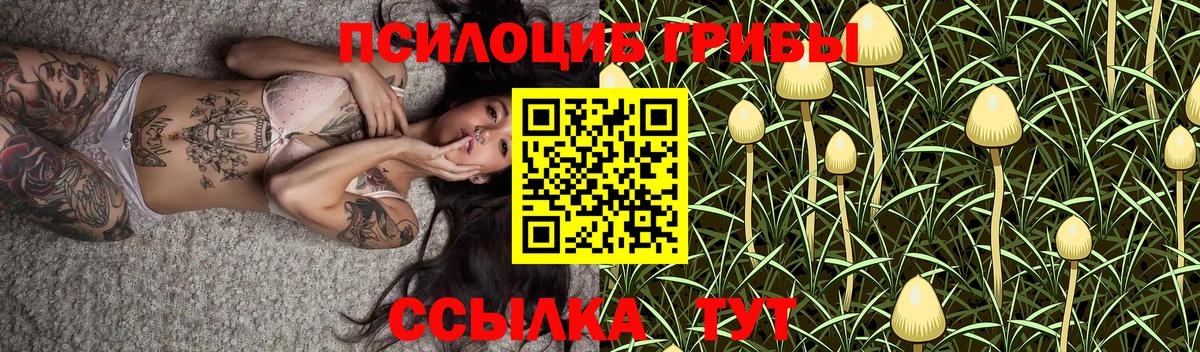 Псилоцибиновые грибы мухоморы Конаково